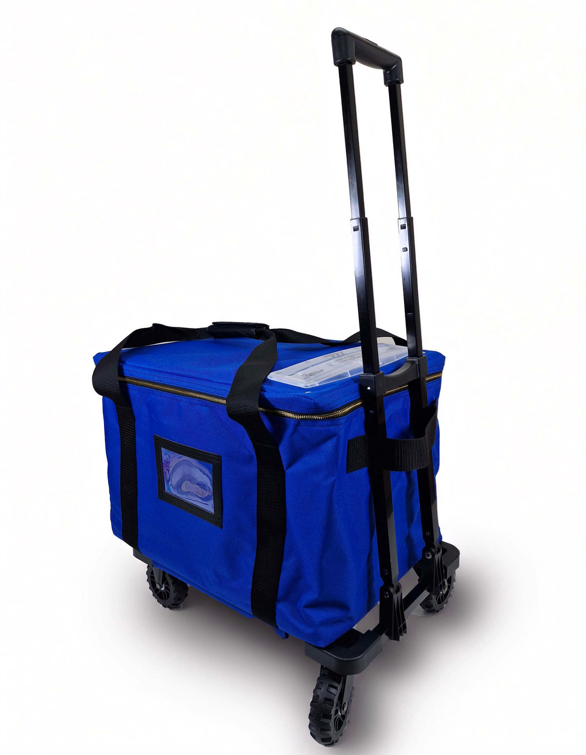 Dual-Lock, Collapsible Ballot Bag with Keyless Security Slot (Copy) - Security4Transit